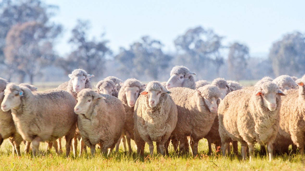 为什么要建立这个站点