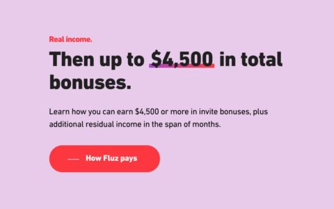 如何用 Fluz 赚 $4500+，漫谈 Fluz 的用户奖励计划