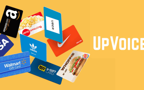 躺赚神器：UpVoice 浏览器插件，装好自动赚积分，每年 $75 被动收入，注册奖励 $5【05/07 更新：重新支持 Chrome，可以成功提现！】