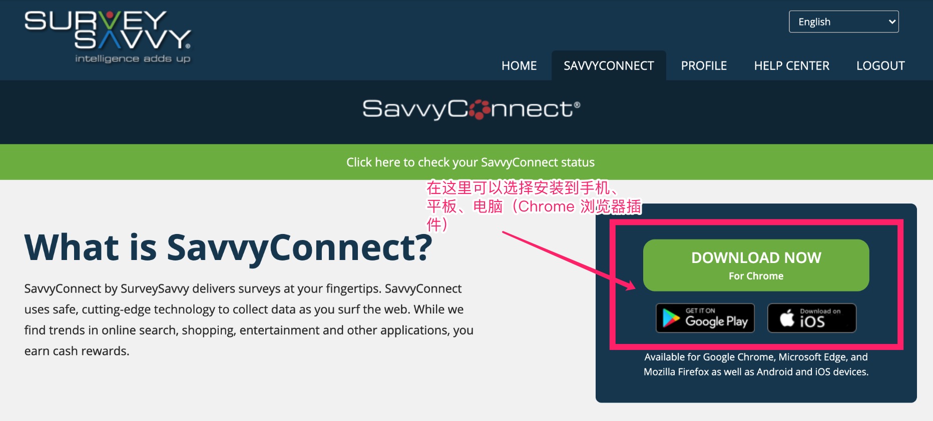 SurveySavvy：每个设备每个月躺赚 ，可用于手机、平板、电脑【注册额外赠送 ，06/29 更新：支票收款图】