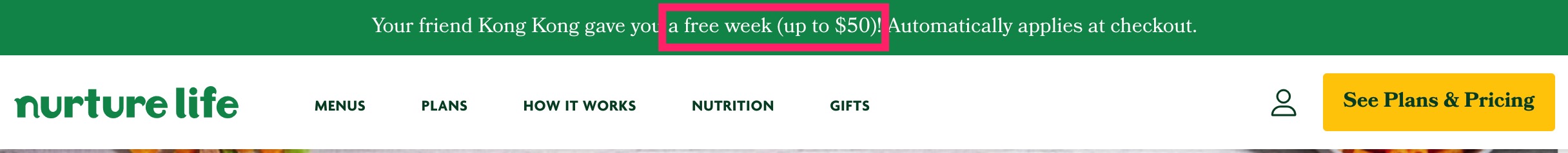 儿童餐订阅服务 Nurture Life 介绍:首单减 【还有 Rakuten 返现】