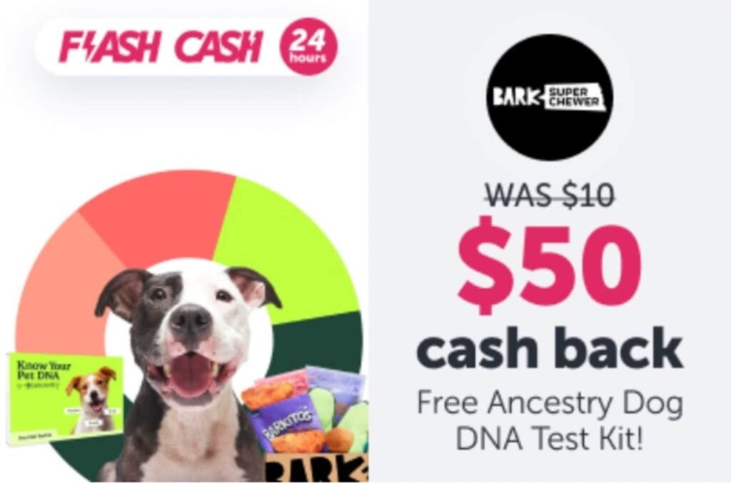 ibotta Flash Cash：Super Chewer 返现 $50，免费狗粮【仅限 08/13 一天】