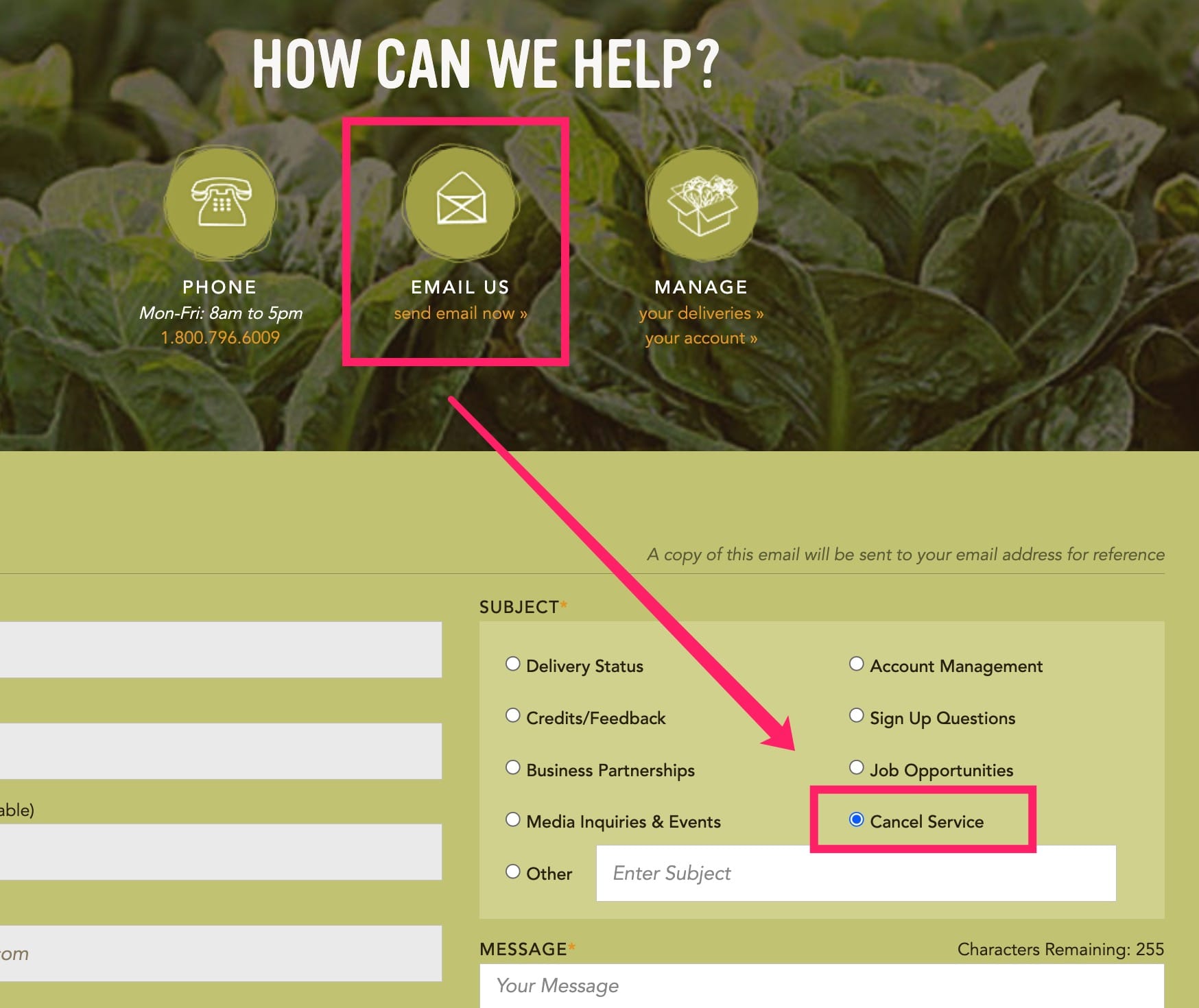 首发大羊毛：水果蔬菜配送服务 Farm Fresh To You，花  返 0，倒赚 【先不要做】