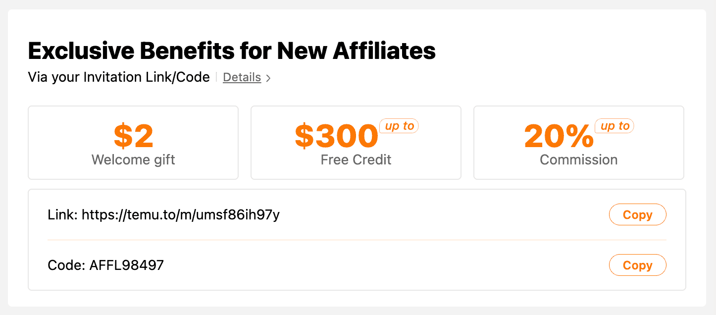 Temu 推出 Affiliate Program，月赚上万美元，任何人都可加入【11/2/2024 全面更新】