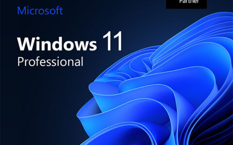 正版 Windows 11 Pro 史低价仅需 $9.97（原价 $199），可激活三台设备【1/18更新：史低价】